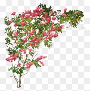 Tubes Nature - - Куст Цветов Png - Transparent PNG Free Download