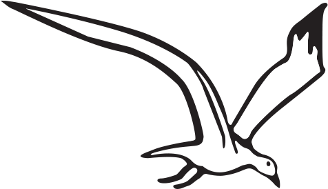 All Of Our Shell And Sea Life Products Are Natural, - All Of Our Shell And Sea Life Products Are Natural, - Transparent PNG Free Download