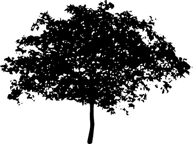 Silhouette Tree, Bush, Nature, Leaves, Trunk, Silhouette - Voice Of The Children In The Apple Tree - Transparent PNG Free Download