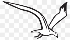 All Of Our Shell And Sea Life Products Are Natural, - All Of Our Shell And Sea Life Products Are Natural, - Transparent PNG Free Download