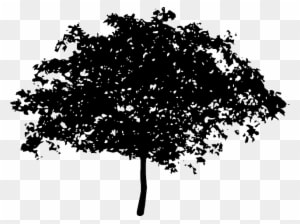 Silhouette Tree, Bush, Nature, Leaves, Trunk, Silhouette - Voice Of The Children In The Apple Tree - Transparent PNG Free Download