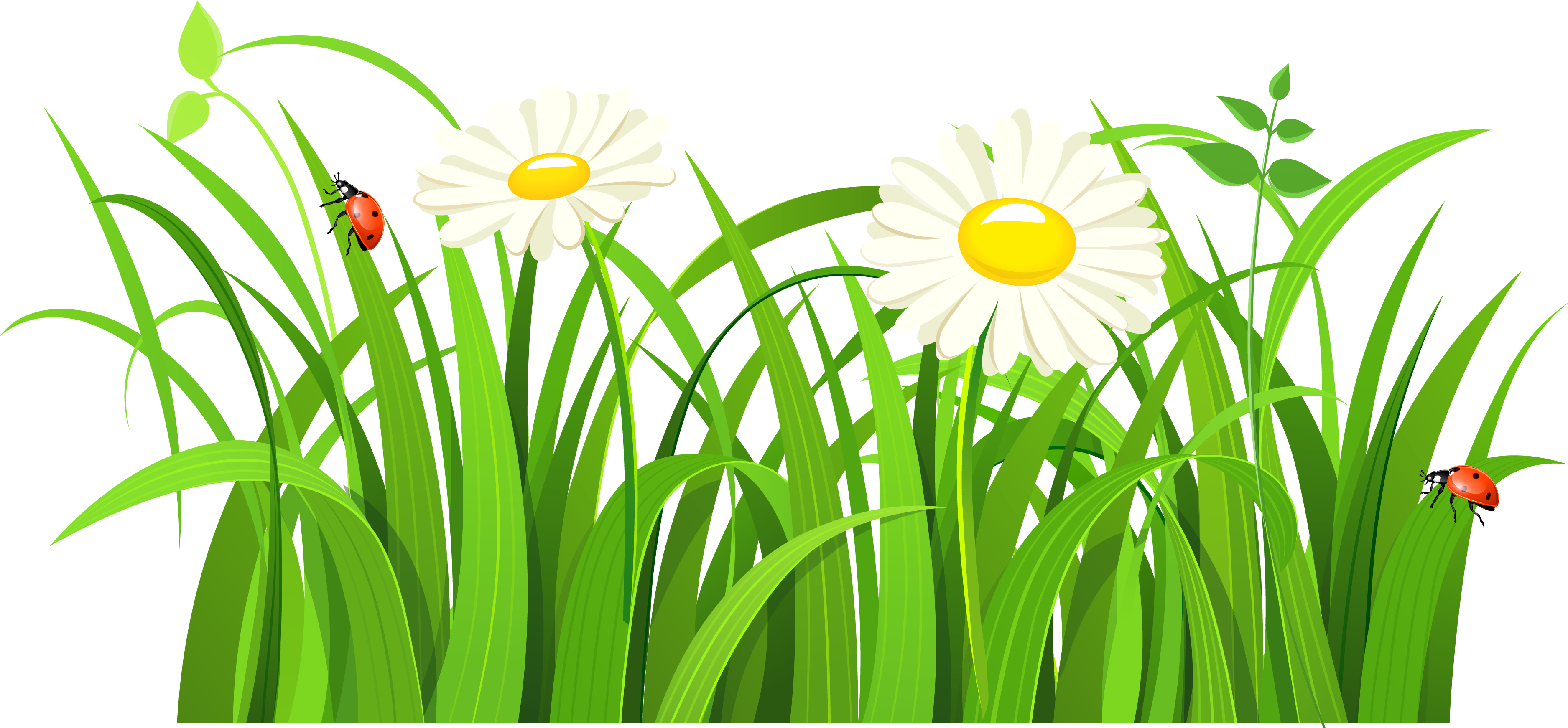 Free Clip Art Nature Trees Tree With Grass Clipart - Free Clip Art Nature Trees Tree With Grass Clipart - Transparent PNG Free Download