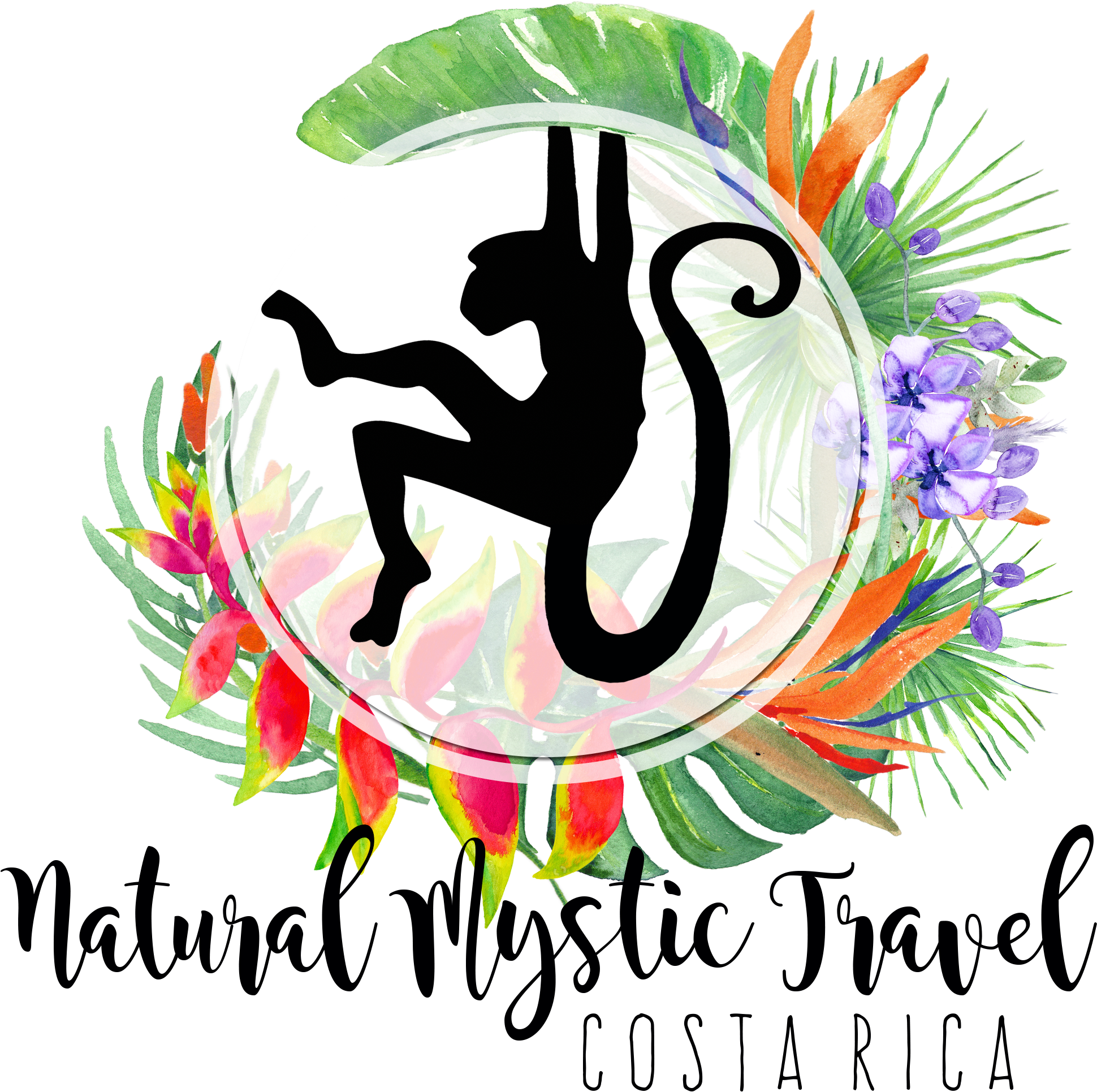 Natural Mystic Travel - Stickerbrand Nature/animals Vinyl Wall Art Safari Monkey - Transparent PNG Free Download