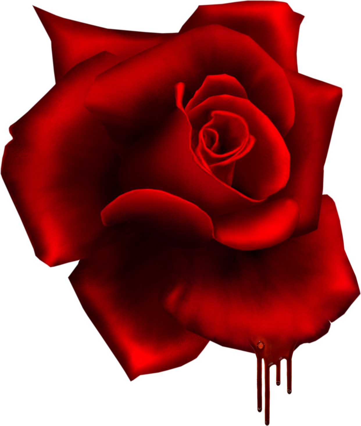 Render Rose Terreur Rouge Sang Nature Autresinconnu - Floribunda - Transparent PNG Free Download