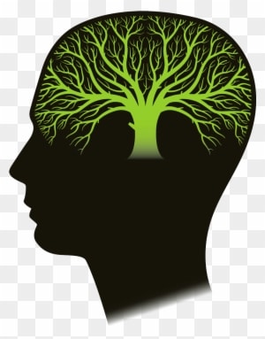 There May Be Safe, Natural Help For Children And Adults - Environmental Conservation Law Of New York, 2017 Edition; - Transparent PNG Free Download