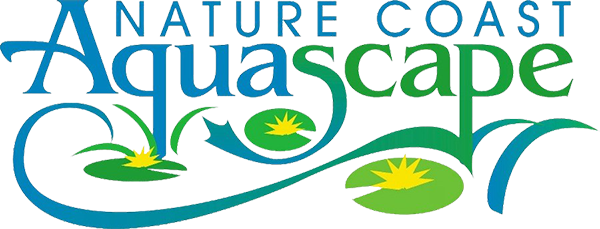 Nature Coast Aquascape - Aquascape - Transparent PNG Free Download