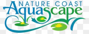 Nature Coast Aquascape - Aquascape - Transparent PNG Free Download