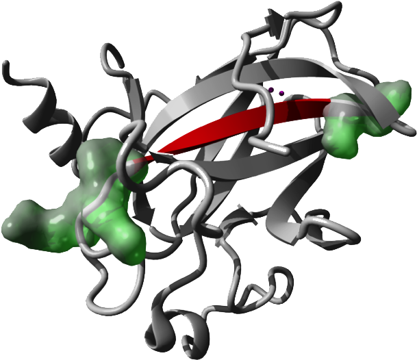Enriched At The Flanks Of Aggregating Protein Sequences - Illustration - Transparent PNG Free Download