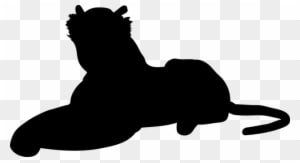 Tiger, Cat, Big Cat, Feral Cat, Nature - Cat - Transparent PNG Free Download