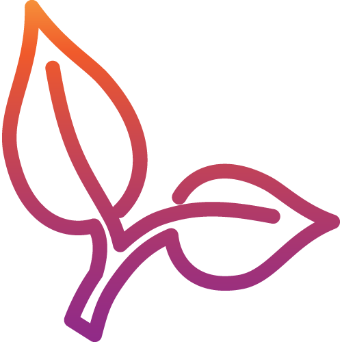 Organic And Natural Products - Plants - Transparent PNG Free Download