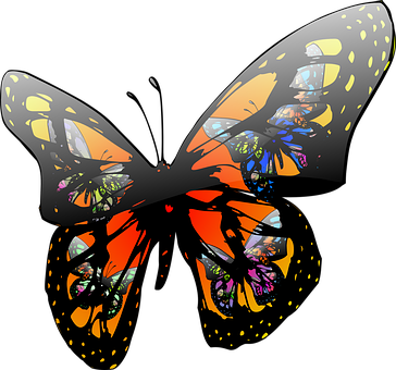Butterfly Insect Wildlife Colorful Nature - Moving Clip Art Butterfly - Transparent PNG Free Download