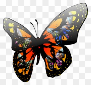 Butterfly Insect Wildlife Colorful Nature - Moving Clip Art Butterfly - Transparent PNG Free Download