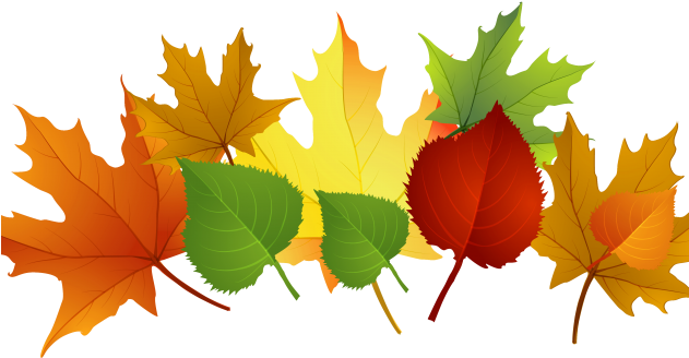 This Week The Children Continued To Explore The Season - Autumn Leaves Clip Art - Transparent PNG Free Download