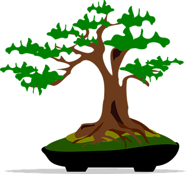 Bonsai, Clip Art, Flora, Nature, Plant - Bonsai Clip Art - Transparent PNG Free Download