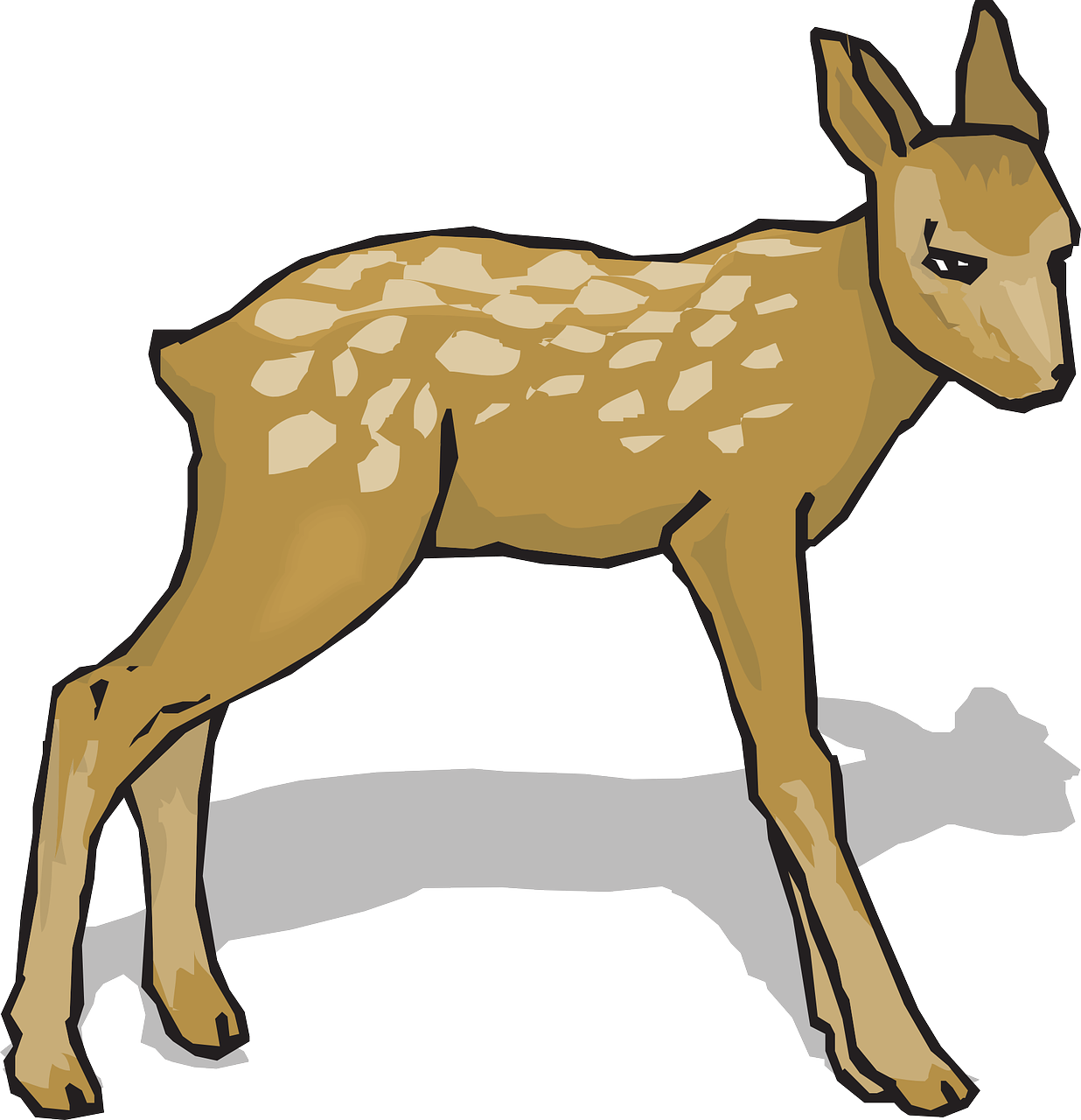 Fawn Animal Deer Nature Png Image - Do Re Mi Song Flash Cards - Transparent PNG Free Download