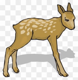 Fawn Animal Deer Nature Png Image - Do Re Mi Song Flash Cards - Transparent PNG Free Download