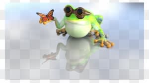 Frog, Toad, Nature, Butterfly - Sapo Con Una Mariposa - Transparent PNG Free Download