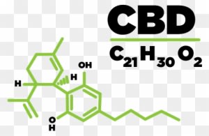 You May Already Have Heard About Cannabidiol In The - Thc Molecule - Transparent PNG Free Download