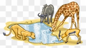 When Nature Calls - Animals At Watering Hole Clipart - Transparent PNG Free Download