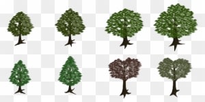 Nature Tree, Forest, Nature - Forest - Transparent PNG Free Download