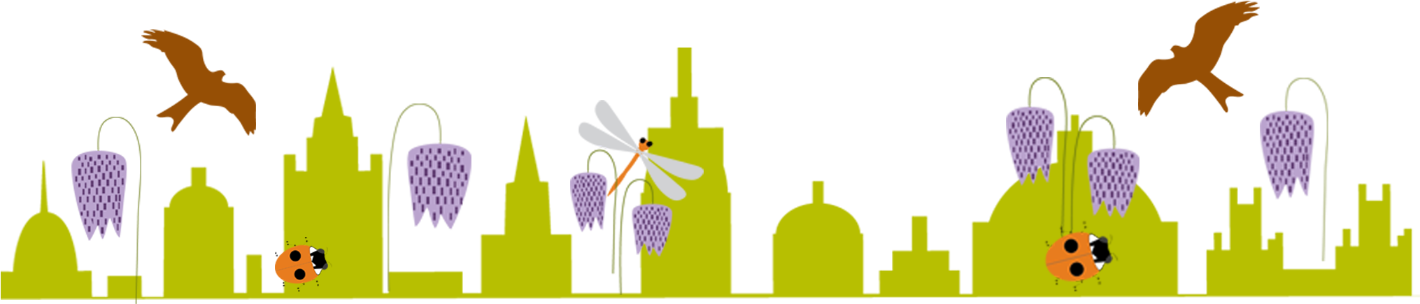 Oxford Festival Of Nature Graphics By By Rachel - Nmature Png - Transparent PNG Free Download