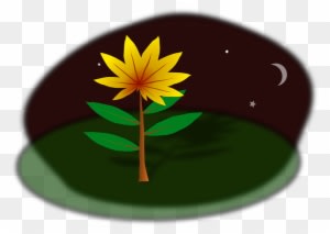 Night Plant, Nature, Flower, Night - Clip Art - Transparent PNG Free Download