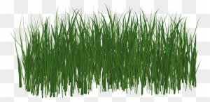 Grass Lawn Green Nature Summer Png Image - Lawn - Transparent PNG Free Download