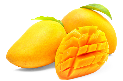 Buy Fresh Totapuri Mangoes Online Home Delivery Naturally - Transparent Background Mango Png - Transparent PNG Free Download