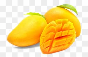 Buy Fresh Totapuri Mangoes Online Home Delivery Naturally - Transparent Background Mango Png - Transparent PNG Free Download