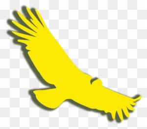 Come Feel The Power Of Nature - Golden Eagle - Transparent PNG Free Download