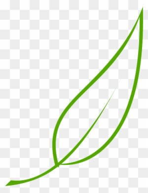 Leaf, Green, Tea, Olive, Graphic, Natural, Environment - Leaf Clipart Vector - Transparent PNG Free Download