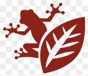 Natural Capital - Plucked String Instrument - Transparent PNG Free Download