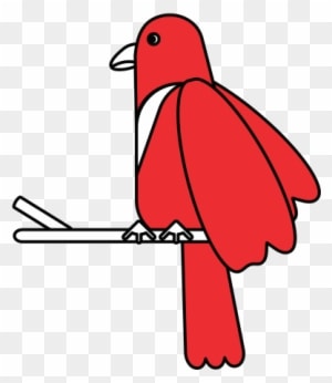 Exotic Natural Bird - Exotic Natural Bird - Transparent PNG Free Download