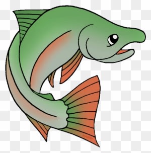 Pacific Northwest Salmon - Plateau Native American Food - Transparent PNG Free Download