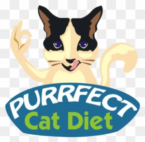 Best Cat Food - Cat Food - Transparent PNG Free Download