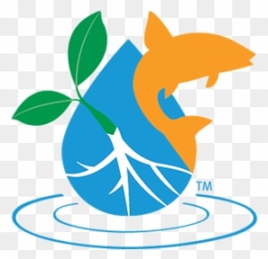 Innovative - Water - Food - Transparent PNG Free Download