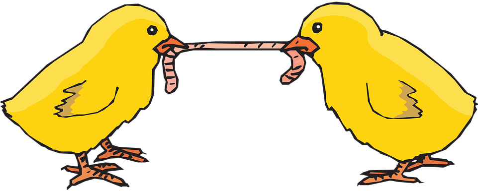 Chicks, Worm, Eating, Feeding, Poultry - Animals Fighting For Food Cartoon - Transparent PNG Free Download