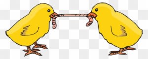 Chicks, Worm, Eating, Feeding, Poultry - Animals Fighting For Food Cartoon - Transparent PNG Free Download