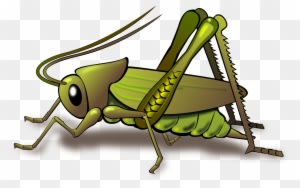 You Should Also Hear The Calling And Distinctive Noises - Python Food Chain - Transparent PNG Free Download