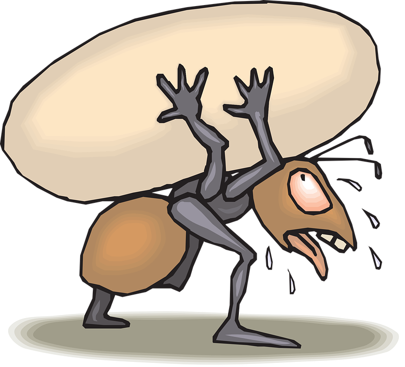 Ant Carrying Food Cartoon - Transparent PNG Free Download