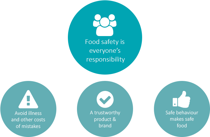 Food Safety Is Everyone's Responsibility - Food Safety - Transparent PNG Free Download