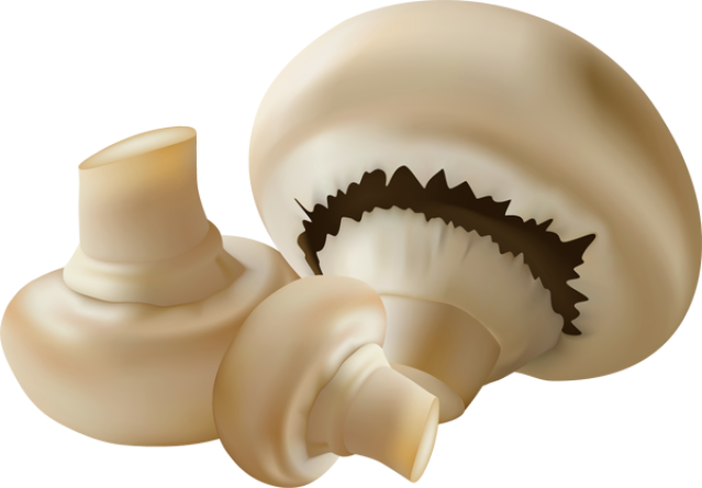 Mushroom Food Clipart - Mushroom Food Clipart - Transparent PNG Free Download