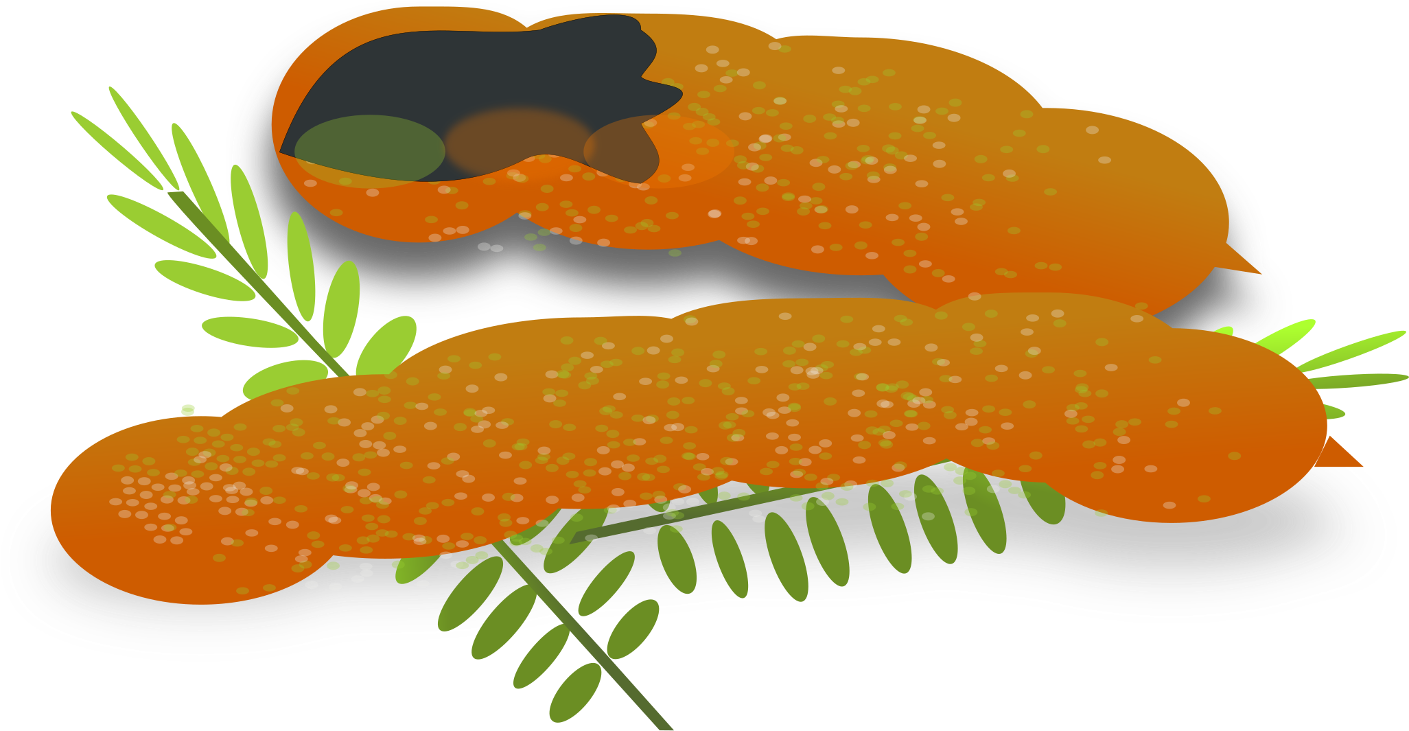 Tamarin Clipart Brown - Clip Art Sour Foods - Transparent PNG Free Download