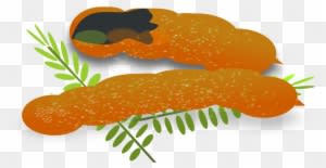 Tamarin Clipart Brown - Clip Art Sour Foods - Transparent PNG Free Download