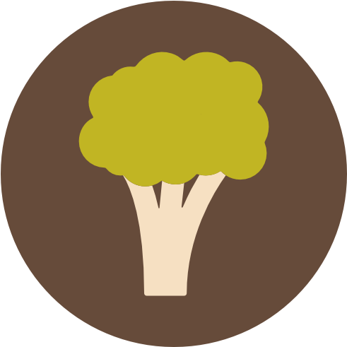 Starts To Wean - Food - Transparent PNG Free Download