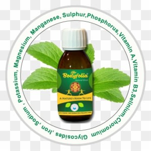 Welcome To Bodyfolia - Natural Foods - Transparent PNG Free Download