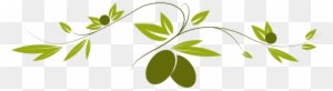 Olive Branch Border Clip Art - Mediterranean Food Clip Art - Transparent PNG Free Download