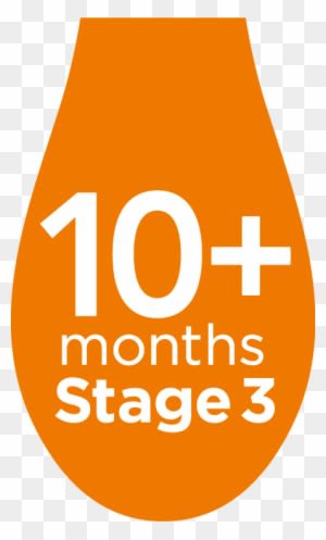 Egg - Baby Food - Transparent PNG Free Download