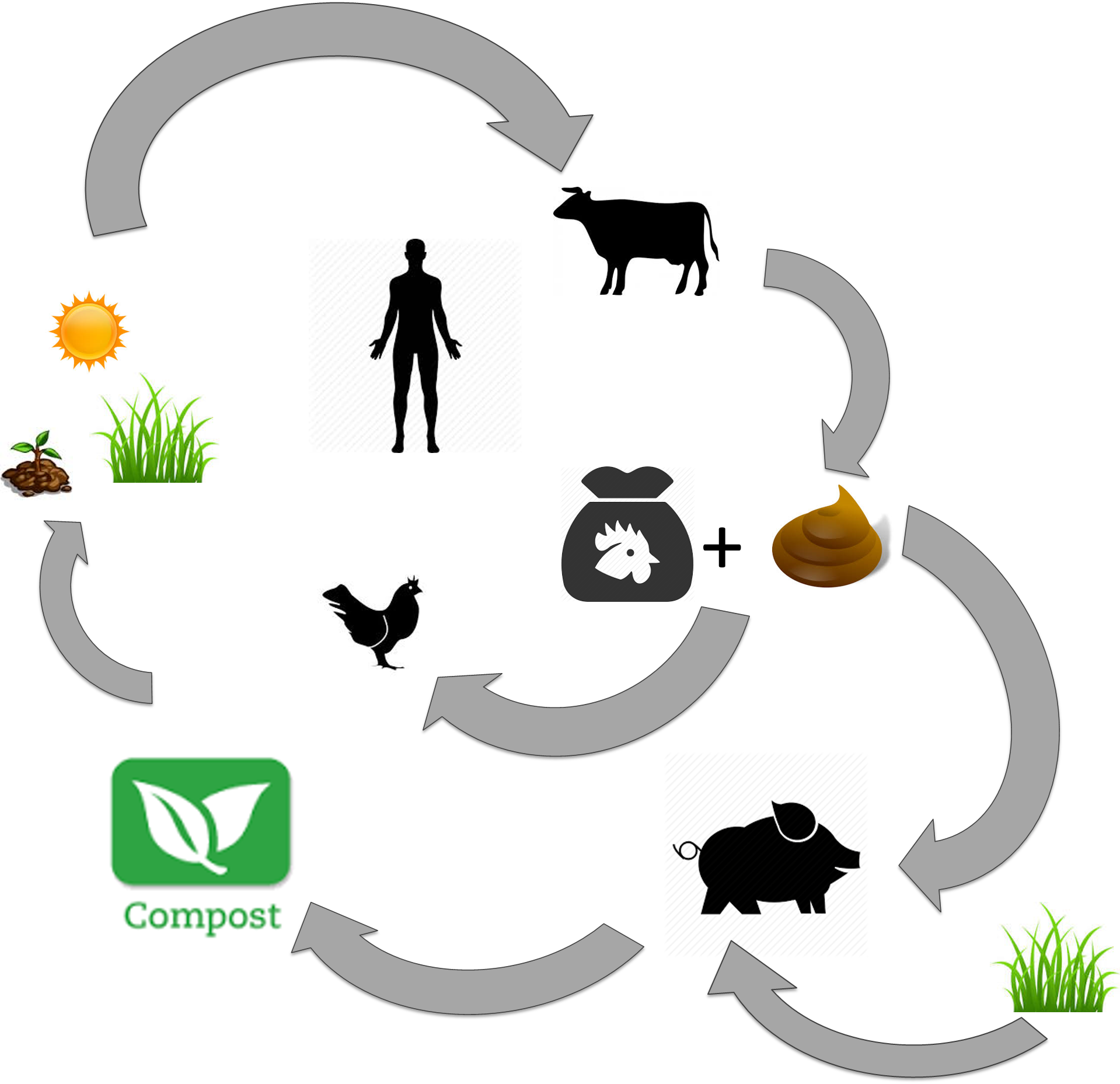 Polyculture - Food - Transparent PNG Free Download