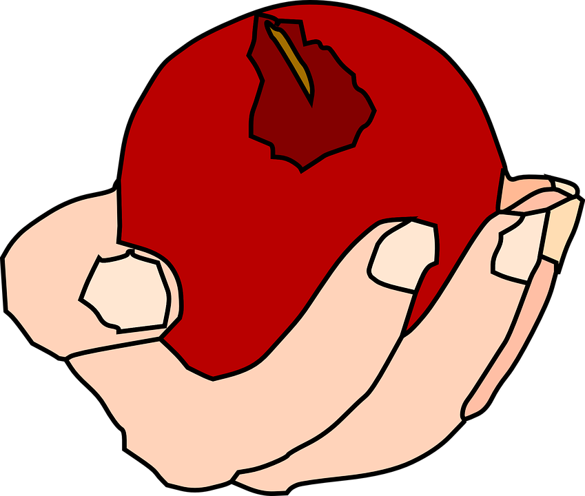 Red Apple Cliparts 29, Buy Clip Art - Hand Holding Food Transparent - Transparent PNG Free Download